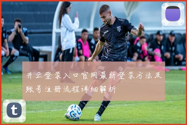 开云登录入口官网最新登录方法及账号注册流程详细解析