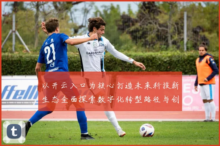 以开云入口为核心打造未来科技新生态全面探索数字化转型路径与创新模式